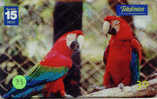 PERROQUET Parrot PAPAGEI Papagaai Telecarte (38) - Perroquets