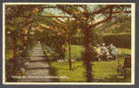 United Kingdom Wales Denbighshire Rhyl Peroglas Botanical Gardens Old Mint Colour Card - Denbighshire