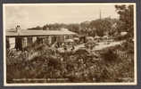 United Kingdom Wales Denbighshire Bodelwyddan Robert's Tea Gardens Old Real Photo Mint Card - Denbighshire