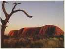 AUSTRALIA AYERS ROCK IN ULURU. NATIONAL PARK. CENTRAL AUSTRALIA - Other & Unclassified