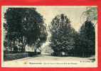 ROMORANTIN 1907 RUE DU FOUR A CHAUX ET MAIL DES PLATANES CARTE EN BON ETAT - Romorantin