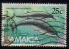 JAMAICA  Scott #  684  VF USED - Jamaique (1962-...)