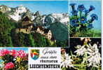 Liechtenstein Grub Aus Dem Furstentum - Liechtenstein
