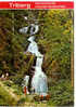 TRIBERG Deutschlands Höchste Wasserfälle - Cascade - Triberg