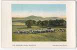 CPA Royaume-Uni-The Pentland Hills,Swanston. Copyright,James Patrick - Midlothian/ Edinburgh