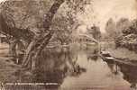 RIVER & SUSPENSION BRIDGE . BEDFORD. - Bedford