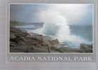 Pounding Surf Along The Ocean Drive, Acadia National Park - Maine - Autres & Non Classés