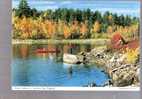 Indian Summer In Northern New England - Near Livermore Falls, Maine - Other & Unclassified