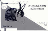 LAPIN Rabbit KONIJN Kaninchen Conejo (33) Barcode 110-009 - Lapins