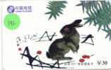 LAPIN Rabbit KONIJN Kaninchen Conejo (192) - Rabbits