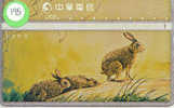 LAPIN Rabbit KONIJN Kaninchen Conejo (195) Taiwan - Lapins