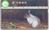 LAPIN Rabbit KONIJN Kaninchen Conejo (197) Taiwan - Lapins