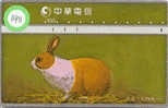 LAPIN Rabbit KONIJN Kaninchen Conejo (198) Taiwan - Rabbits