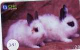 LAPIN Rabbit KONIJN Kaninchen Conejo (281) - Conejos