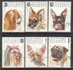 BULGARIA \ BULGARIE - 1991 - Chiens D'agrement - 6v Obl. - Used Stamps