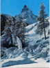 Zermatt 49916  Mont Crevin - Matt