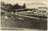 Carte Postale Ancienne Nuits Saint Georges - Le Château Gris - Vignoble De Grand Cru - Viticulture - Nuits Saint Georges