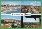 SOUVENIR DE FREJUS - Carte Vierge - La Seyne-sur-Mer