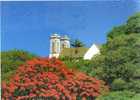 CPSM.  LA CATHEDRALE DE NOUMEA. DATEE 1988. FLAME. - Nouvelle Calédonie