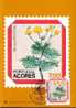 ACORES CARTE MAXI NUM.YVERT 334  FLEURS - Maximumkarten (MC)