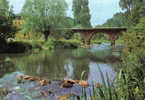 Carte Postale 72. Saint-Léonard-des-Bois  Le Pont Sur La Sarthe Et Le Touring  Trés Beau Plan - Saint Leonard Des Bois