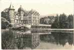 VIZILLE Isère Le Chateau Façade Sur Le Parc - Vizille