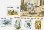 Cape Verde-1981 Birds Set & MS  MNH - Isola Di Capo Verde