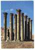 Jerash. The Columns. Les Colonnes. De Zuilen. - Jordan