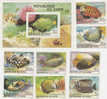 Zaire-1980 Fish MNH - Other & Unclassified