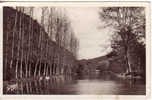 14..LA SUISSE NORMANDE..CLECY..LE PONT DU VEY..GABY..CARTE PHOTO1.950 - Clécy