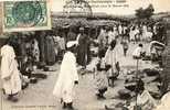 COLLECTION FORTIER N° 355  - AFRIQUE - SOUDAN - MARCHE Au VILLAGE De SARAFERE Sur Le BARA ISA - Sudán