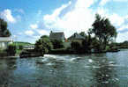 Carte Postale  80. Bray-sur-Somme  Les étangs à Eclusier Trés Beau Plan - Bray Sur Somme