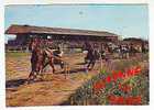 Postcards - Divonne Les Bains - Reitsport