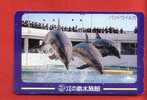 Japan Japon  Telefonkarte Télécarte Phonecard Telefoonkaart  -   Delfin Dauphin Dolphin  Delphin - Delfines