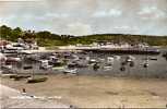 LYME REGIS FROM THE COBB. LYME REGIS. - Otros & Sin Clasificación