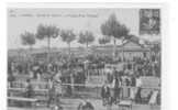 84 // CAVAILLON, Champ De Courses, Le Pesage Et Les Tribunes, ANIMEE N° 3854 - Cavaillon