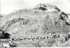 73.  VAL D'ISERE.  VUE GENERALE ET LE ROCHER DE BELLEVARDE. BEAU PLAN. - Val D'Isere