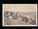 Canet Plage La Plage édit.chauvin Animée Belle Carte - Canet Plage