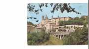 17343)cartolina Illustratoria  Urbino -  Panorama - Urbino