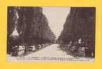 - 73 -  ARLES - Les Alycamps. - L´Allée Des Tombeaux.  Daté : 4 Avril 1920. - Arles