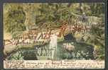 1906 , GIBRALTAR, THE CASCADE, VINTAGE POSTCARD - Gibilterra