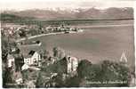 FRIEDRICHSHAFEN Uferstrasse Mit Alpenfernsicht 1954 - Friedrichshafen