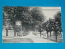 87) Saint Léonard - N° 40 - Boulevard De La Promenade - Année 1924 - EDIT - Saint Leonard De Noblat