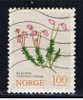 N Norwegen 1973 Mi 673 Pflanze - Usados
