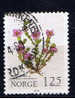 N+ Norwegen 1979 Mi 808 Blume - Used Stamps