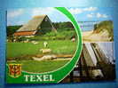 R.2589 HOLANDA NEDERLAND WADDENEILANDEN TEXEL ANNEES 60 CIRCULADA MAS EN MI TIENDA - Texel