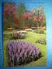 R.2597 HOLANDA NEDERLAND ZUID HOLLAND LISSE KEUKENHOF ANNEES 70/80 MAS EN MI TIENDA - Lisse