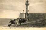 76 - SAINT VALERY En CAUX - CHEVAUX Pour Le TRANSPORTS Des GALETS - PHARE - Industrie