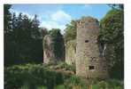 CPM De Herbignac   Les Ruines Du Château De Ranrouet - Herbignac