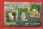 Japan Japon  Telefonkarte Télécarte Phonecard Telefoonkaart  -  Eule Owl Hibou - Owls